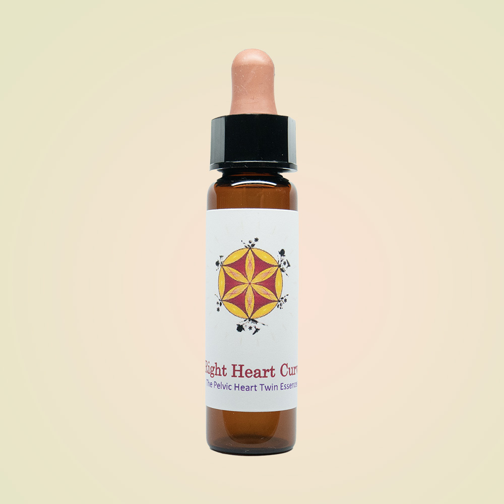 Right Heart Curve Essence