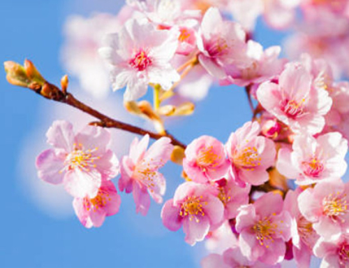 How to Recognise Periods of Profound Change: The Birthing Phases of a New You