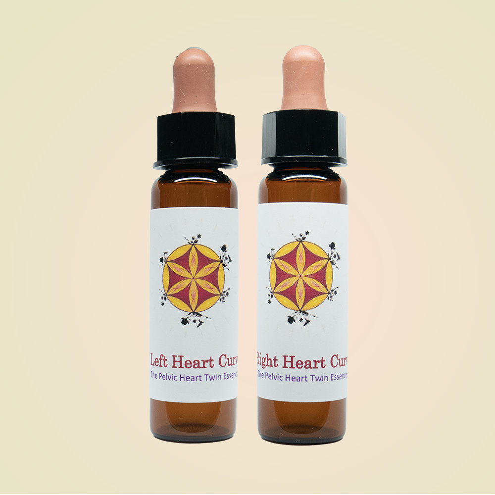 Left & Right Heart Curve Essence