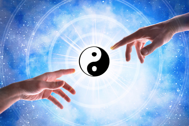 A lioness staring right at the viewer